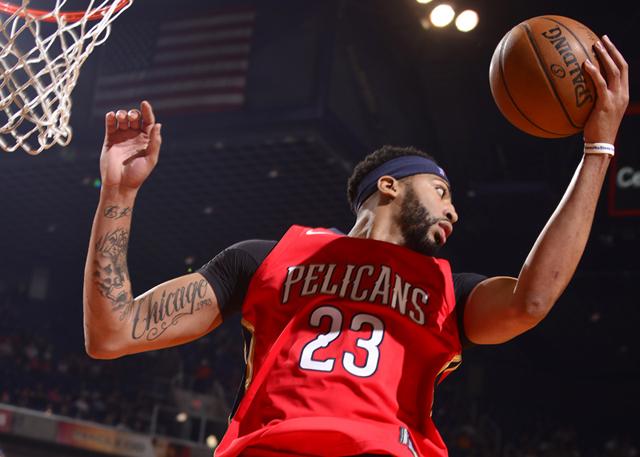 员的灰熊 员的灰熊