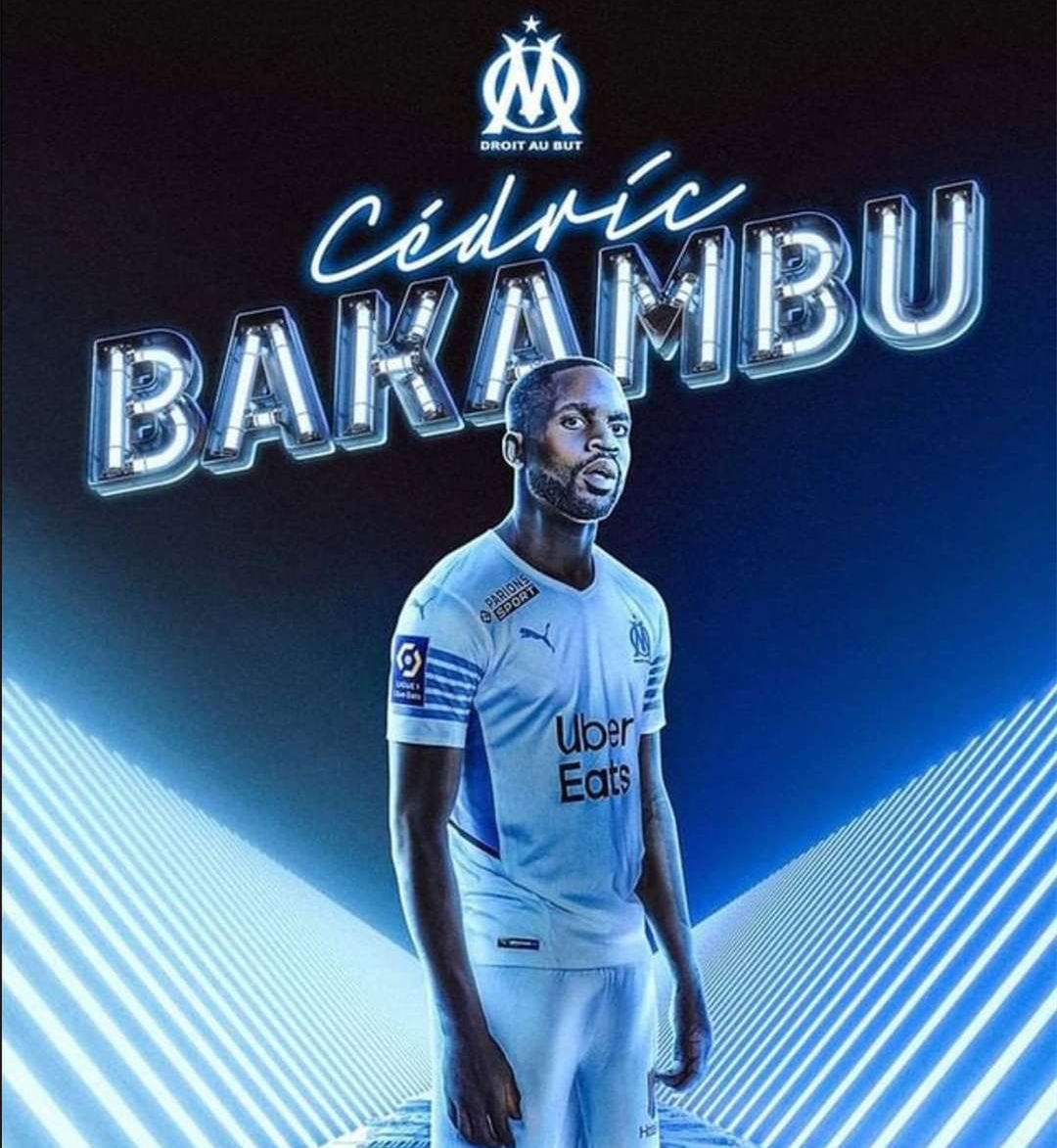 大阪樱花作 大阪樱花作