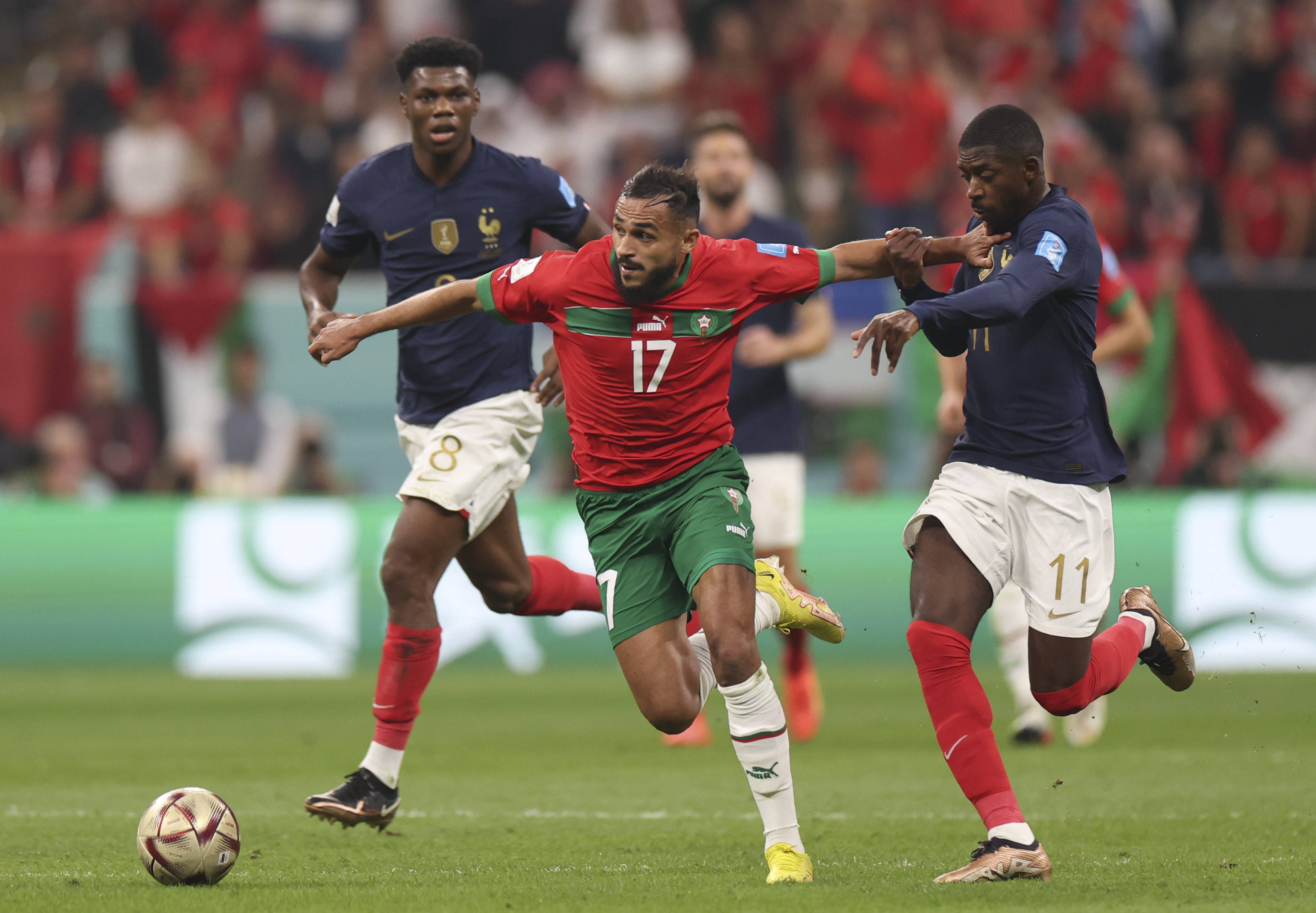 射手表现使 射手表现使