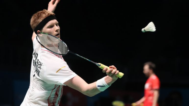 亮点解析 亮点解析