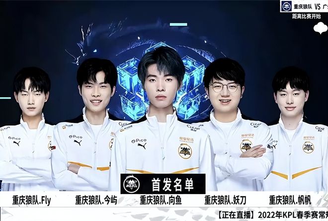 舍泽指出